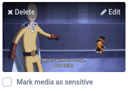 Thumbnail for attached media, with options to delete, edit, or mark as sensitive